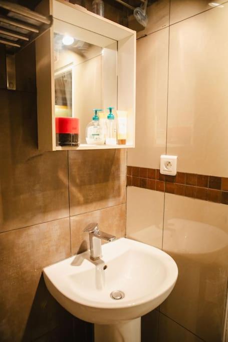 Quartier Belleville 20m2 Avec Mezzanine Appartement